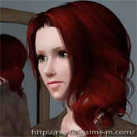 dl-sims-f01